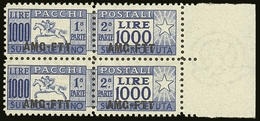 ZONE A  PARCEL POST 1954 1000L Ultramarine, Line Perf 13¼ (Sass 26/1) - A Never Hinged Mint Marginal Vertical Pair. Scar - Other & Unclassified