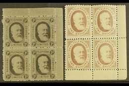 NATIONAL TELEPHONE COMPANY  1884 1d Black And 1s Brown, Barefoot 1 And 5, Both In Very Fine Mint Corner Marginal BLOCKS  - Other & Unclassified
