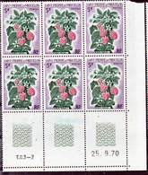 Saint Pierre Et Miquelon  403 Fleurs Bloc De 6 Coin Daté 25 9 1970  Neuf ** MNH Sin Charmela Cote 21 - Unused Stamps