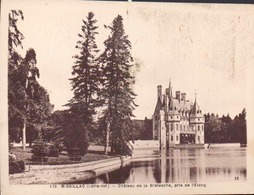 44 - MISSILLAC - CHATEAU DE LA BRETECHE PRIS DE L'ÉTANG - Missillac