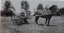 Photo   Agriculture - Berufe