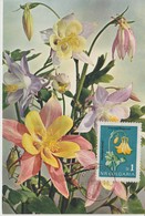 Bulgarie Carte Maximum Fleurs 1963 Ancolie 1208 - Lettres & Documents