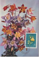 Bulgarie Carte Maximum Fleurs 1963 Ancolie 1208 - Brieven En Documenten