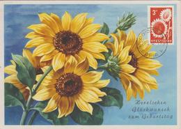 Bulgarie Carte Maximum Produits Agricoles 1965 Tournesol 1336 - Covers & Documents