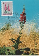 Bulgarie Carte Maximum Fleurs 1967 Digitale 1477 - Storia Postale