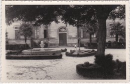 Delcampe - POSTCARD SPAIN  ESPAÑA - GALICIA - PONTEVEDRA - LA ESTRADA - JARDINES MUNICIPALES - Pontevedra