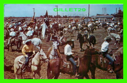 MINNEDOSA, MANITOBA - GRAND ENTRY AT THE RODEO COWBOYS IN THE ANNUAL AFFAIR - LOTS OF HORSES - - Other & Unclassified