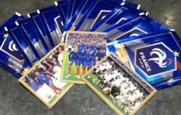 Lot De 10 Cartes Au Choix Dans La Liste CARTE FOOT EURO PANINI FAMILY BELIN 2018 Carrefour FOOTBALL Mise à Jour 17/07 - Autres & Non Classés