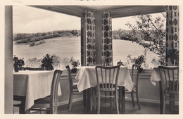 Olfen Odenwald - Pension Miltenberger - Blick Aus Esszimmer 1957 - Coesfeld