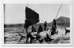 CPA Bolivie Bolivia Circulé Carte Photo RPPC Voir Scan Du Dos TITICACA La Paz - Bolivie