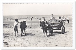 Cadzand, Strand - Cadzand