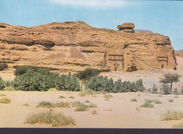 Saudi Arabia PPC Madain Salah (2 Scans) - Arabie Saoudite