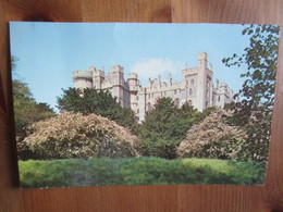 Arundel Castle Home Of The Duke Of Norfolk Built About 20 Years After The Norman Conquest. Plastichrome P42615 - Arundel