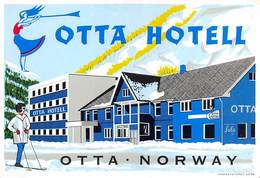 D7823 " HOTEL OTTA -  OTTA -NORWAY" ETICHETTA ORIGINALE - ORIGINAL LABEL - - Etiquettes D'hotels