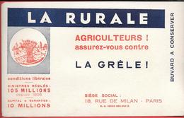 Buvard Ancien Assurance LA RURALE Rue De Milan Paris -Agriculteurs Assurez-vous Contre La GRELE  Illustrat. Gerbe De Blé - Banco & Caja De Ahorros