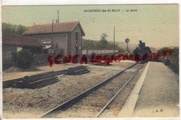 76 - CAUDEBEC LES ELBEUF - LA GARE   RARE CARTE TOILEE - Caudebec-lès-Elbeuf