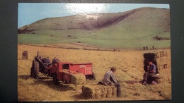 TRACTEUR AGRICOLE ET BOTTELEUSE ROYAUME UNI THE WHITE HORSE WESBURY - Tracteurs