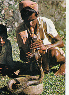 ASIE,SRI LANKA,CEYLON,CEYLAN,métie R,snake Charmer ,dresseur Et Charmeur De Serpent,prise De Risque,rare - Sri Lanka (Ceylon)