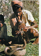 ASIE,SRI LANKA,CEYLON,CEYLAN,métie R,snake Charmer ,dresseur Et Charmeur De Serpent,prise De Risque,rare - Sri Lanka (Ceilán)