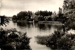 ZECHLINERHÜTTE (Kr. Neuruppin) - Am Schlabornsee - Zechlinerhütte