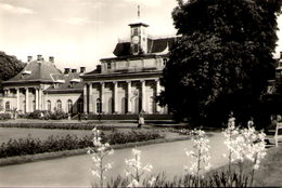 PILLNITZ - Schloss Und Park - Neues Palais - Pillnitz