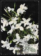 Delcampe - Carte Maximum Premier Jour N°520 Jasmin Monaco Le 16/05/1959 Carte Sentora Nice N° 1014 TB - Maximumkarten (MC)