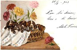 [DC11986] CPA - ILLUSTRATA FIRMATA MAILICK - CUCCIOLI DI CANE - PERFETTA - Viaggiata 1903 - Old Postcard - Mailick, Alfred