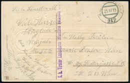 1915 (25.12.) , Feldpostkarte Tiroler Landsturm, Feldpostamt 217 Auf Neujahrs-Color-Litho-Ak. (Glücksschwein) - Alpen /  - Other & Unclassified