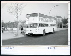 1972/75 BERLIN, 9 Verschiedene S/ W.-Fotos Der BVG (West) Doppeldecker-Omnibusse (meist Format 7 X 10,5 Cm) Mit Möbel- U - Andere & Zonder Classificatie
