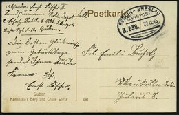 1915 (22.11.) Bahnpststempel BERLIN-BRESLAU/ BAHNPOST/ Z. 238, Hs. Abs. "Landsturm Inf. Rgt. N. 12, Guben" Auf Feldpost- - Other & Unclassified