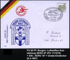 1987 (8.4.) 7990 FRIEDRICHSHAFEN 1, Sonderstempel: AERO '87 = Histor. Militärflugzeug "Taube" Auf PU 80 Pf. Burgen: "UNS - Autres & Non Classés