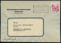 1954 SAALEFELD (SAALE) 1, Maschinen-Werbestempel: Feengrotten (Tropfsteinhöhle) Firmenbrief (Bo.9 A) - Geologie, Mineral - Other & Unclassified