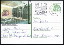 1980 7080 Aalen, 50 Pf. Bild-Ganzsache  Inzlingen:Geologisch-Paläontologisches Museum (Vitrinen Mit Versteinerungen Etc. - Other & Unclassified