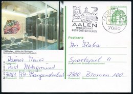 1980 7080 Aalen, 50 Pf. Bild-Ganzsache  Inzlingen:Geologisch-Paläontologisches Museum (Vitrinen Mit Versteinerungen Etc. - Autres & Non Classés