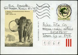 1996 UNGARN, 17 Ft. Sonderganzsache "Eröffnung Naturkundemuseum" (Saurier Mit Ei) U. Mammut, Bedarfskarte (Mi.P 662) - P - Other & Unclassified