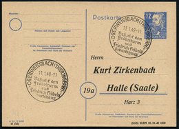 1949 (11.1.) OBERWEISSBACH, Hand-Werbestempel: ..Fröbelturm U. Friedr. Fröbels Geburtshaus (* 1782 - 1852, Pädagoge) Inl - Otros & Sin Clasificación