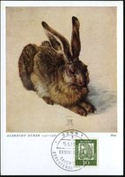 1961 (15.6.) B.R.D., 10 Pf. A. Dürer (Dauerserie) + ET-Sonderstempel BONN 1 Auf Maximum-ähnlicher Colorkarte: Hase Von A - Otros & Sin Clasificación