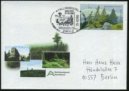 2002 (23.8.) 29683 FALLINGBOSTEL, Sonderstempel HEIDE-POSTA Heidedichter Hermann Löns (Kopfbild, Grab) Auf 55 C. Ganzsac - Otros & Sin Clasificación