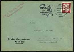 1962 (17.1.) 493 DETMOLD 1, Maschinen-Werbestempel: LIPPE DETMOLD.. (= Lippischer Soldat Aus Napoleon. Zeit) Dienstbrief - Andere & Zonder Classificatie