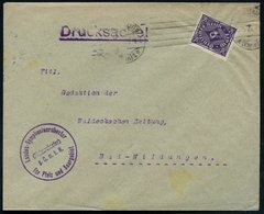 1923 (5.5.) Ludwigshafen 1, Viol. Briefstempel: Landes-Symphonieorchester Für Rheinland-Pfalz.. , EF 20 Mk. Posthorn, Fe - Autres & Non Classés