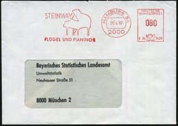 1987 2000 HAMBURG 54, Absender-Freistempel: STEINWAY, FLÜGEL U. PIANOS (Flügel) Firmenbrief, Rs. Abs.-Vordruck - Musik-I - Altri & Non Classificati