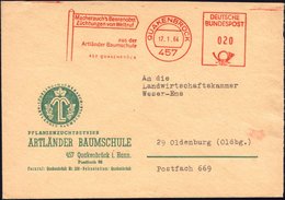 1964 457 QUAKENBRÜCK, Absender-Freistempel: Macherauch's Beerenobst,, Artländer Baumschule Auf Dekorativem Reklame-Brief - Other & Unclassified