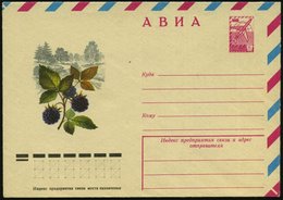 1977 UdSSR, 6 Kop. Luftpost-Ganzsachen-Umschlag: Brombeeren, Ungebr. - Agrarprodukte & Obst / Agricultural Products / Pr - Sonstige & Ohne Zuordnung