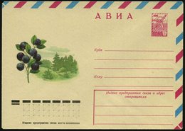 1977 UdSSR, 6 Kop. Luftpost-Ganzsachen-Umschlag: Blaubeeren (u. Wald), Ungebr. - Agrarprodukte & Obst / Agricultural Pro - Altri & Non Classificati