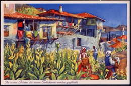 1937 (Okt.) BULGARIEN, Deutsche Color-Reklame-Ak.: Tabakdorf Melnik + 3-Zeiler: RAUCHT BULGARISCHE TABAKE, (gest. SOFIA) - Otros & Sin Clasificación