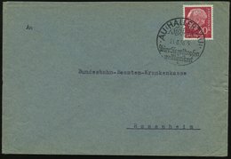 1956 (21.8.) AU (HALLERTAU), Handwerbestempel: Auer Siegelhopfen Weltbekannt (Hopfenfruch) Bedarfsbrief (Bo.3) - Bier /  - Andere & Zonder Classificatie