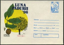 1996 RUMÄNIEN, 100 L. Sonder-Ganzsachen-Umschlag: "Monat Des Waldes" Nußbaum (Baum U. Frucht) Ungebr. (Mi.U 1825) - Wald - Altri & Non Classificati