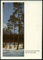 1967 UdSSR, 3 Kop. Bild-Ganzsache Komsomolzen, Grün: Karbadino-Balkarien, Kiefern Im Winter, Ungebr. - Wald & Baum / For - Altri & Non Classificati