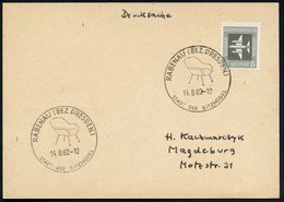 1962 (14.8.) RABENAU (BEZ. DRESDEN), Hand-Werbestempel: Stadt Der Sitzmöbel = Sessel, Inl.-Karte (Bo.4 , Nur 1962 Verwen - Other & Unclassified