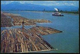 1975 CANADA, 8 C. Long Booms And Paddle Steamer Near Pitt Meadows (B.C.) = Baumflöße U. Raddampfer, Ungebr. - Holz & Möb - Other & Unclassified